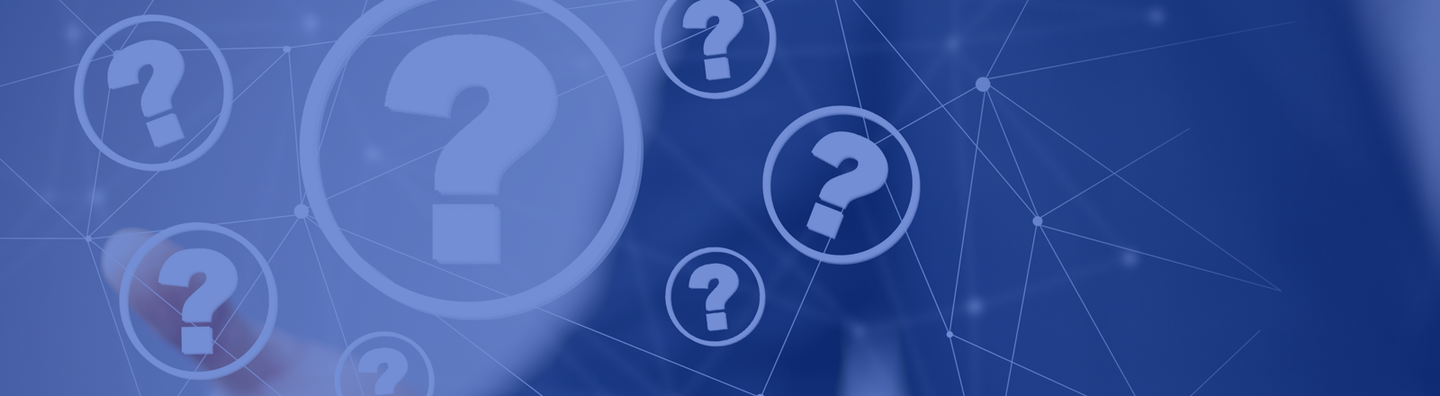 修験法螺貝43cm※購入前コメント必須